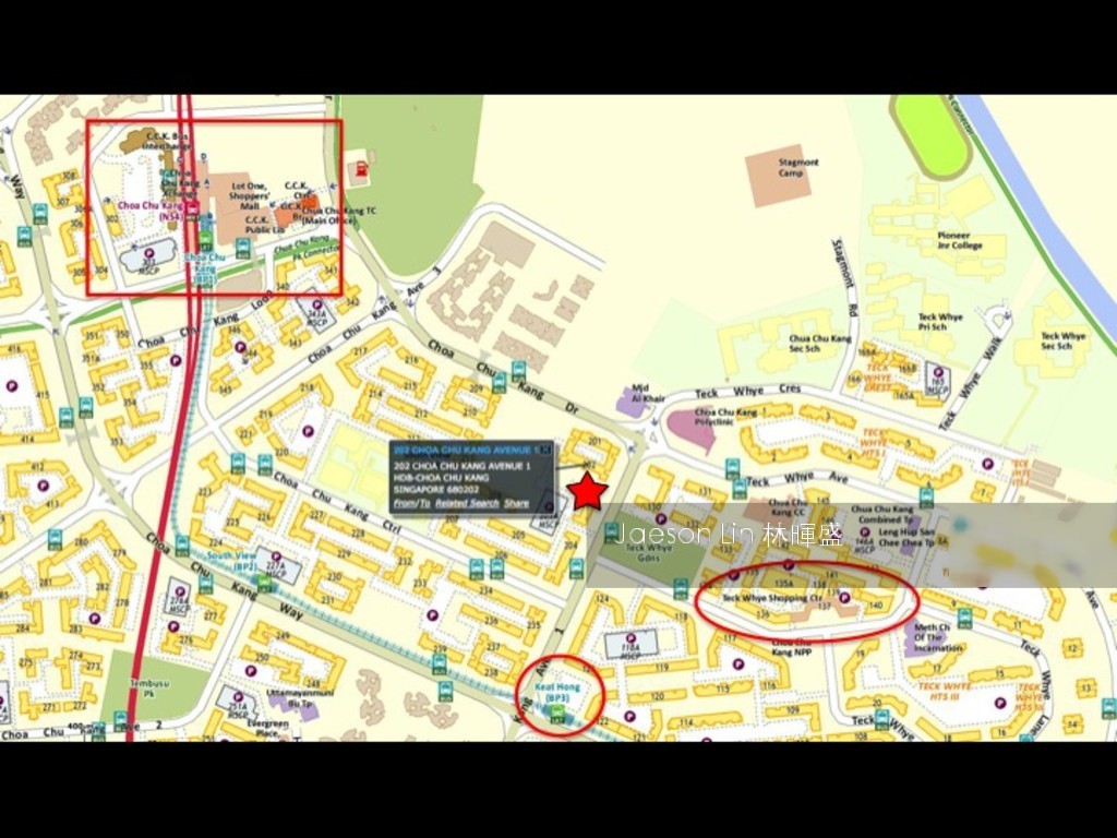 Blk 202 Choa Chu Kang Avenue 1 (Choa Chu Kang), HDB 5 Rooms #142102282